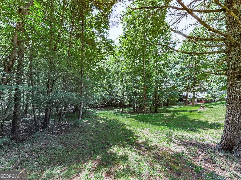 314 Spring Creek Blairsville - Photo 30