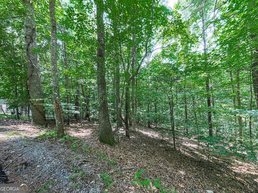 314 Spring Creek Blairsville - Photo 31