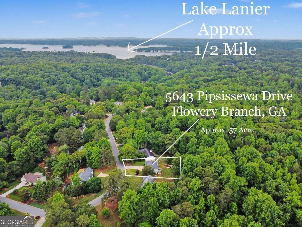 5643 Pipsissewa Drive Flowery Branch - Photo 42