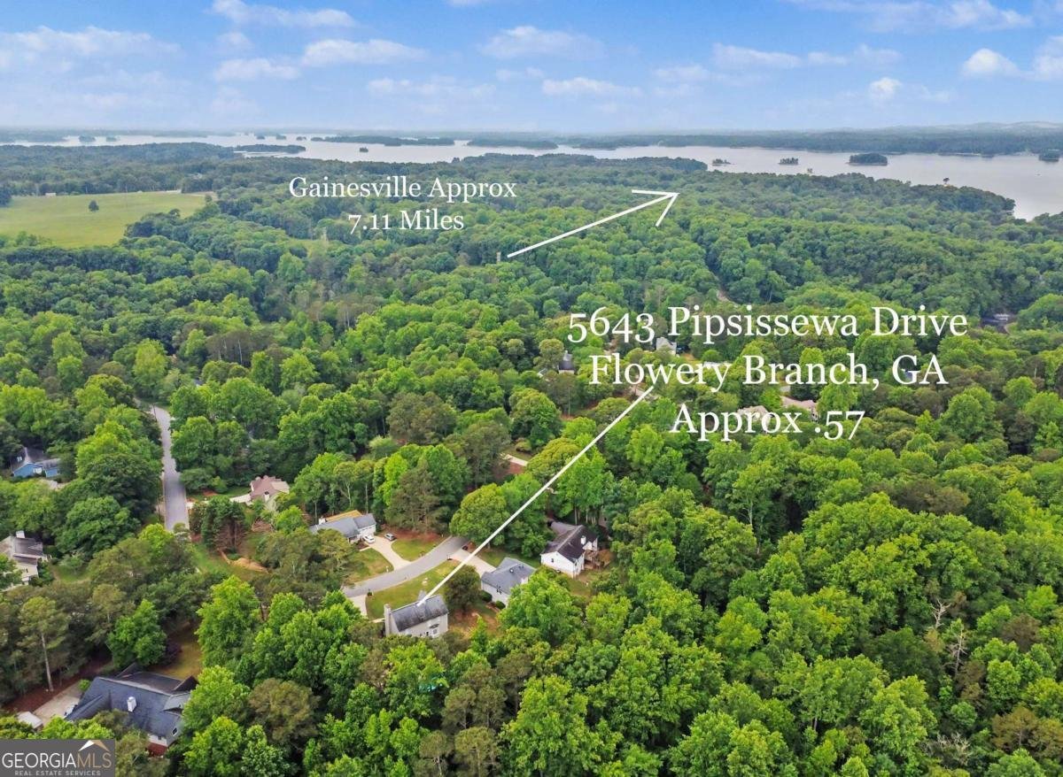 5643 Pipsissewa Drive Flowery Branch - Photo 43