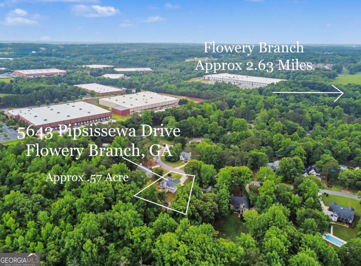 5643 Pipsissewa Drive Flowery Branch - Photo 44