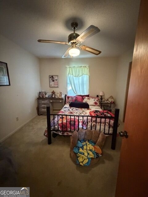 44 Hilltop Drive Lumber City - Photo 10