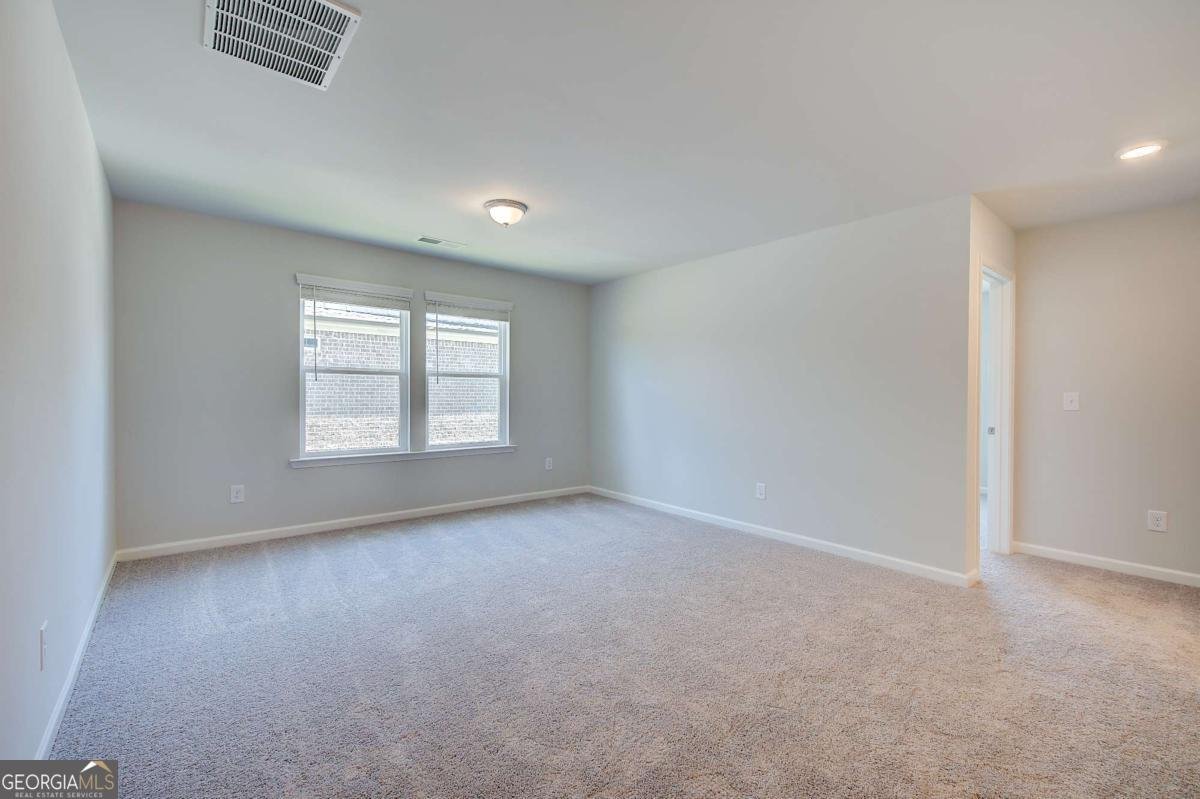 640 Leafy Branch Way Mcdonough - Photo 18