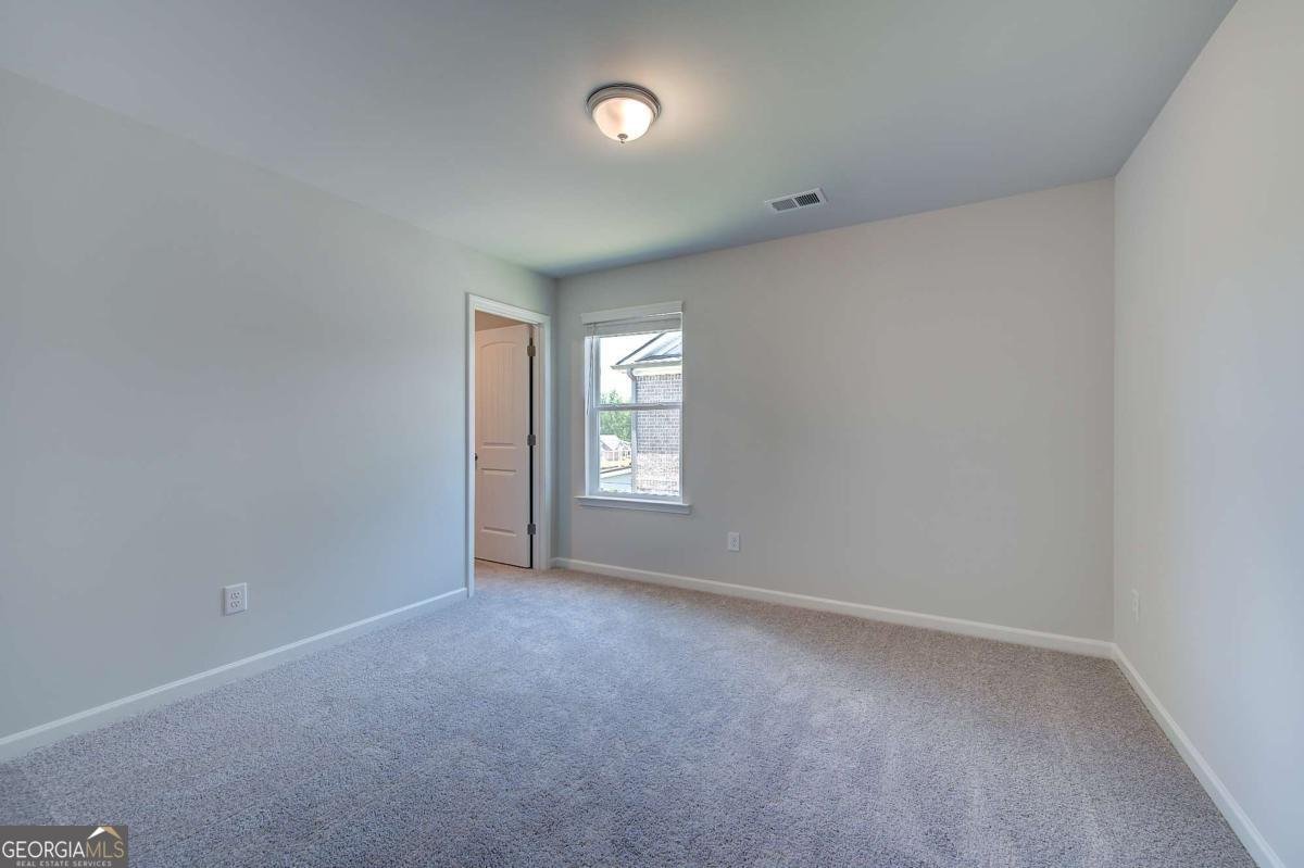 640 Leafy Branch Way Mcdonough - Photo 19