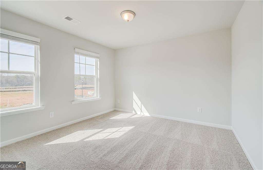 652 Leafy Branch Way Mcdonough - Photo 19