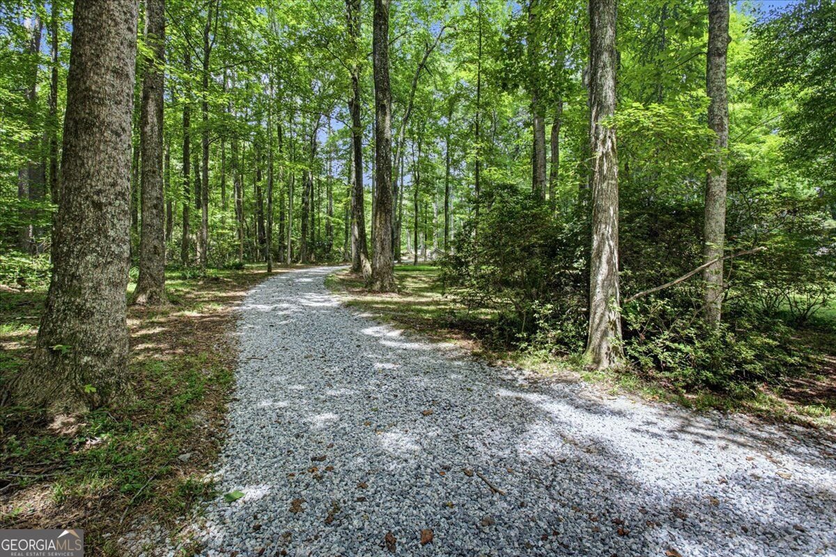 1351 Minix Road Sharpsburg - Photo 35