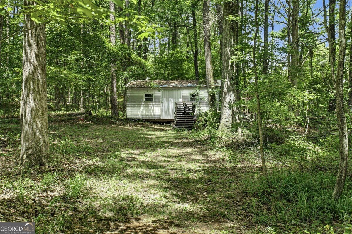 1351 Minix Road Sharpsburg - Photo 46