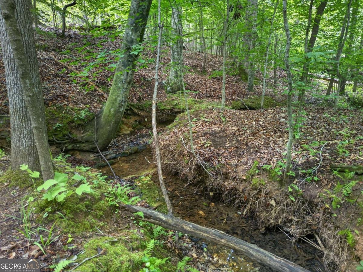 3512 Vinson Mountain Road Rockmart - Photo 51