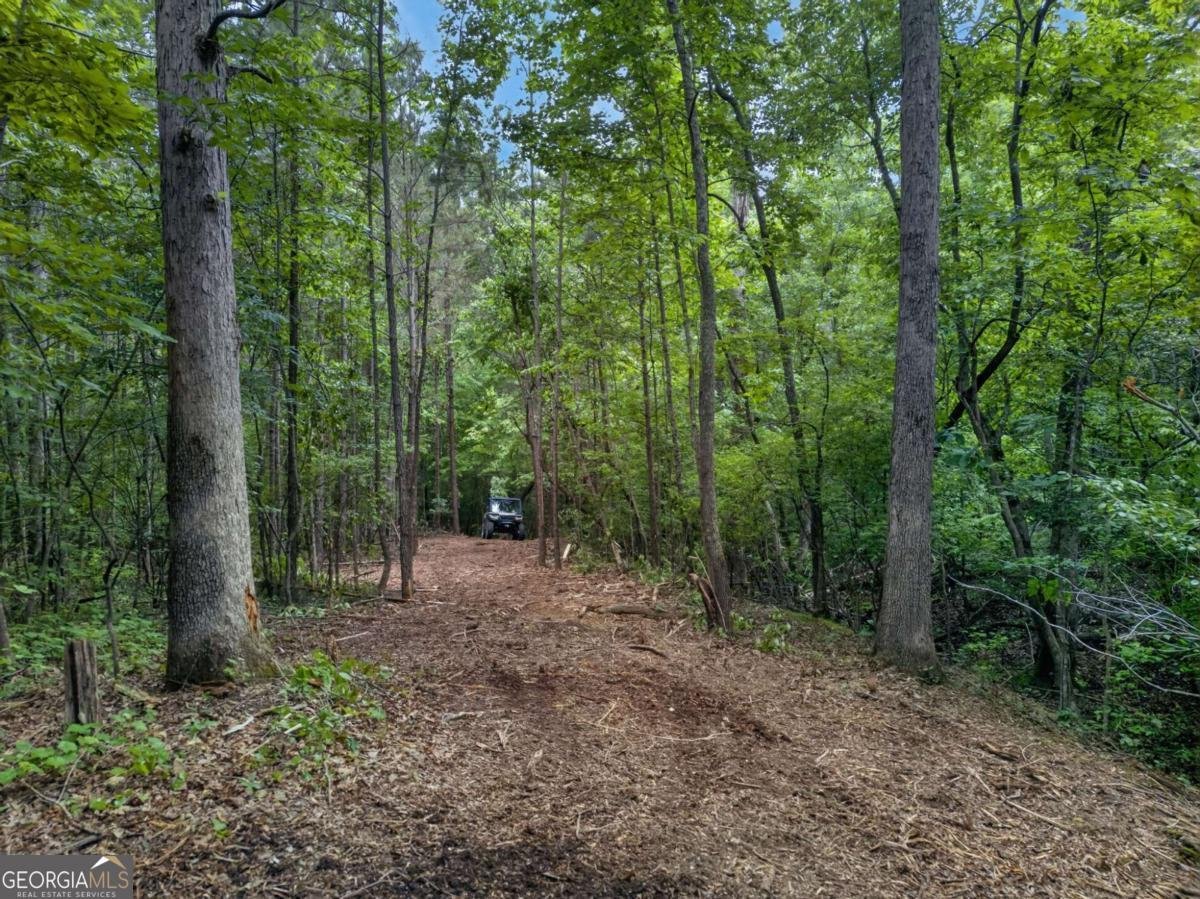 3512 Vinson Mountain Road Rockmart - Photo 54