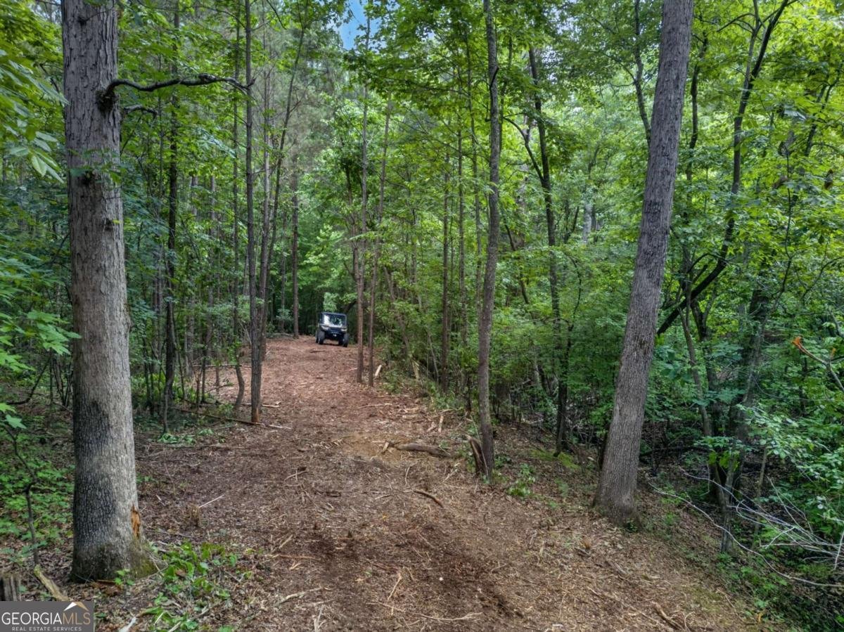 3512 Vinson Mountain Road Rockmart - Photo 55