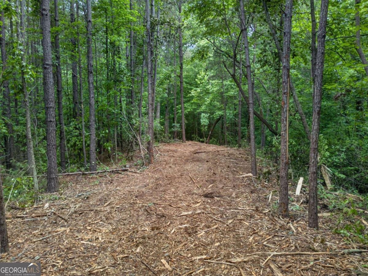 3512 Vinson Mountain Road Rockmart - Photo 56