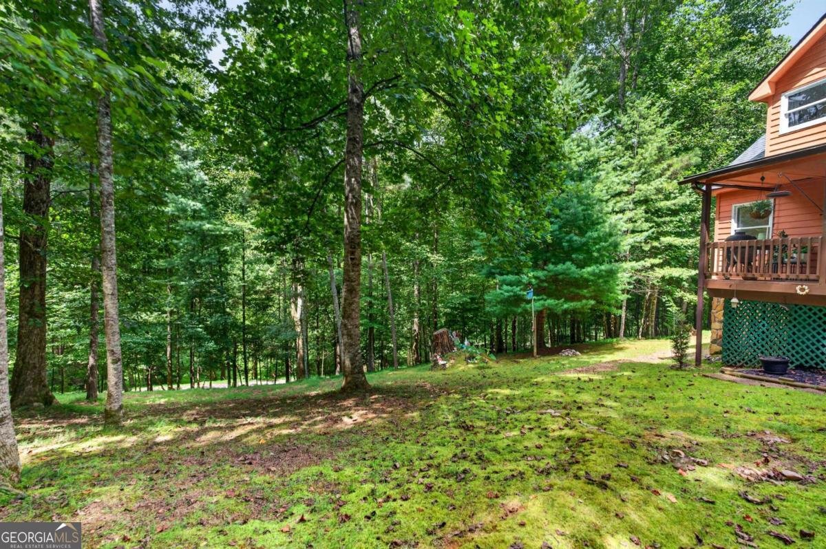 75 Farley Court Ellijay - Photo 16