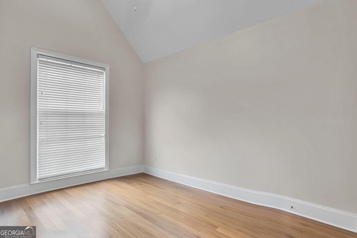 437 Grandiflora Drive McDonough - Photo 25