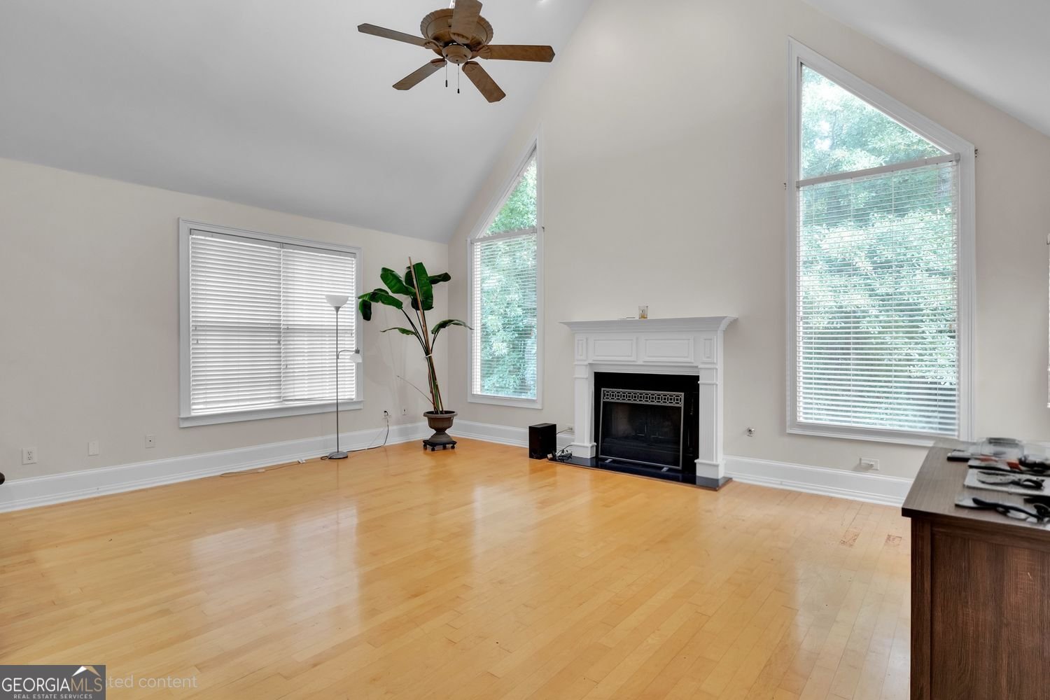 437 Grandiflora Drive McDonough - Photo 7