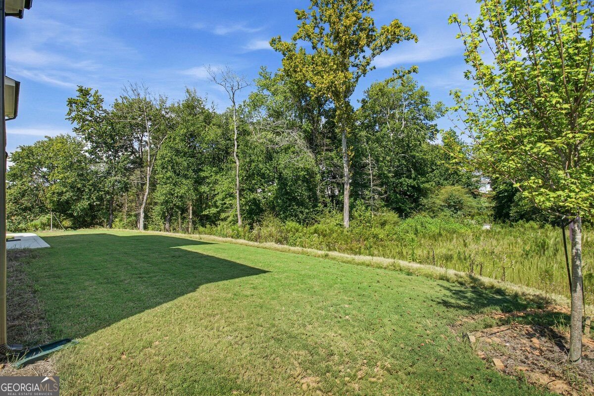 6715 Settingdown Creek Drive Dawsonville - Photo 45