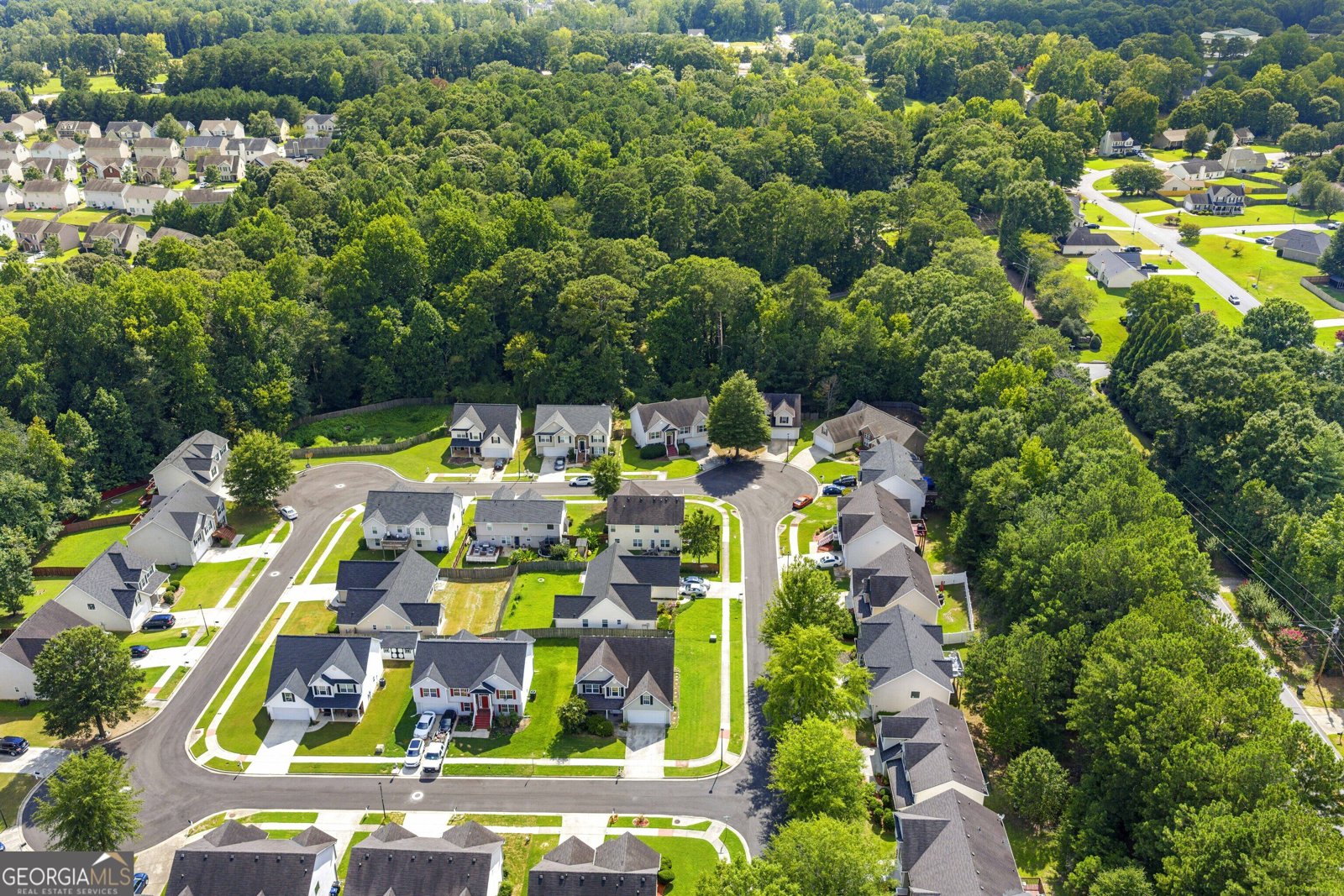 1543 Virgil Pond Lane Loganville - Photo 41