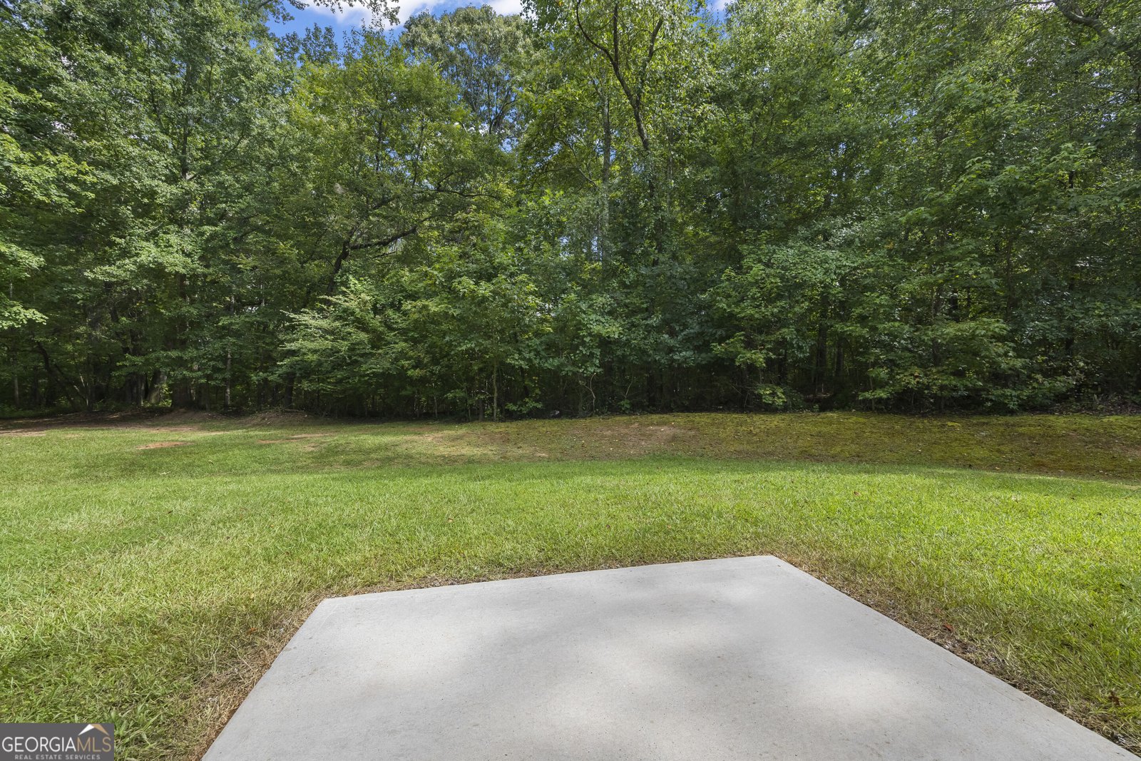 121 Mount Vernon Way Winterville - Photo 59