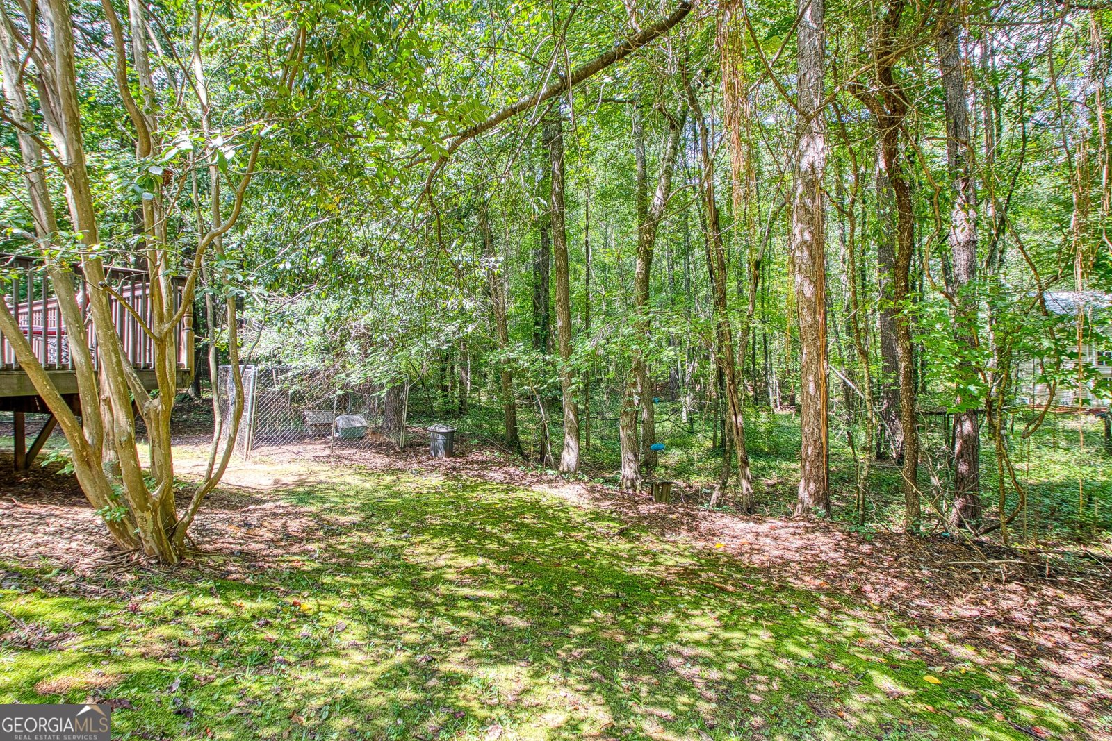 30 Orchard Hills Ct Newnan - Photo 36