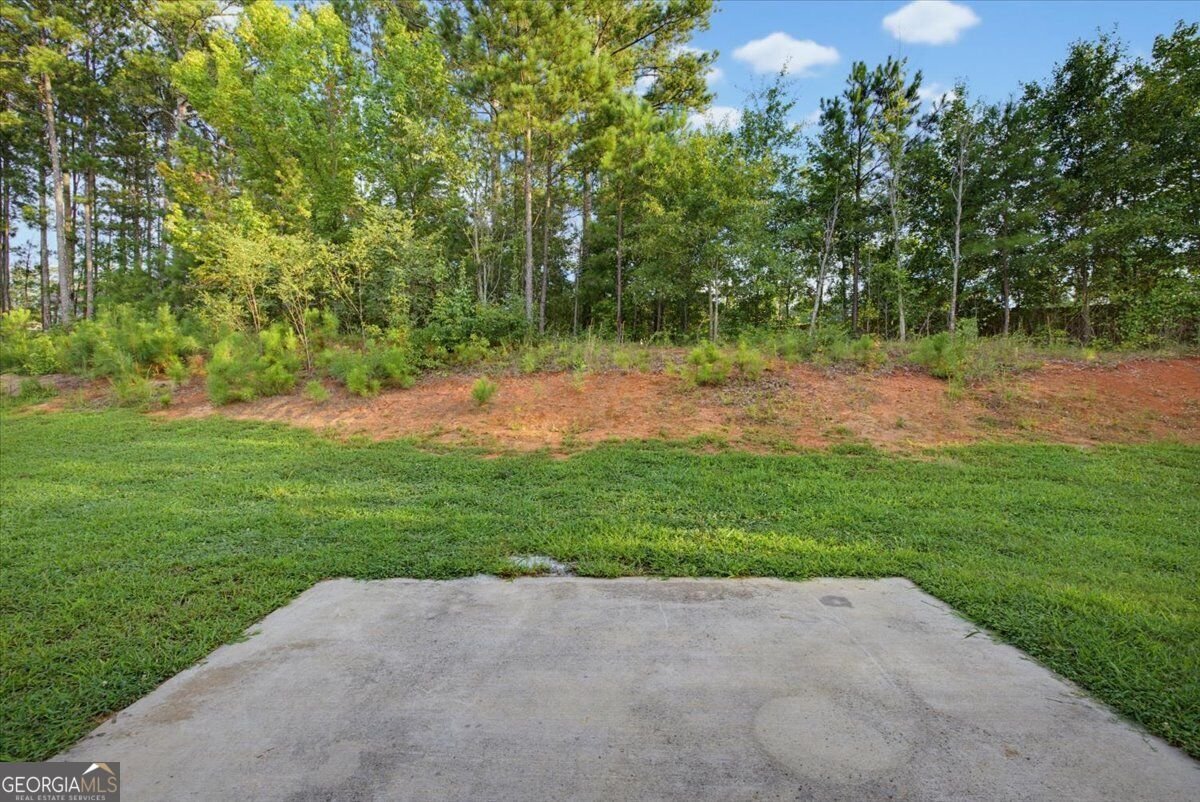 676 Ragan Court Social Circle - Photo 40