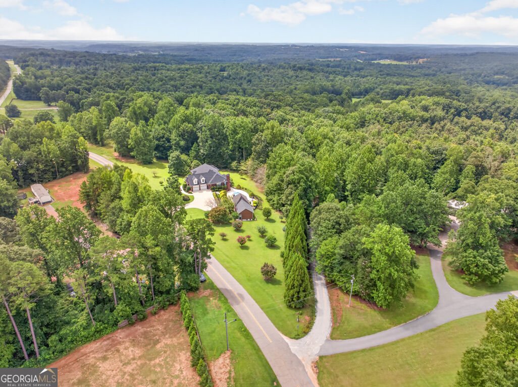 1077 Scales Creek Road Homer - Photo 7