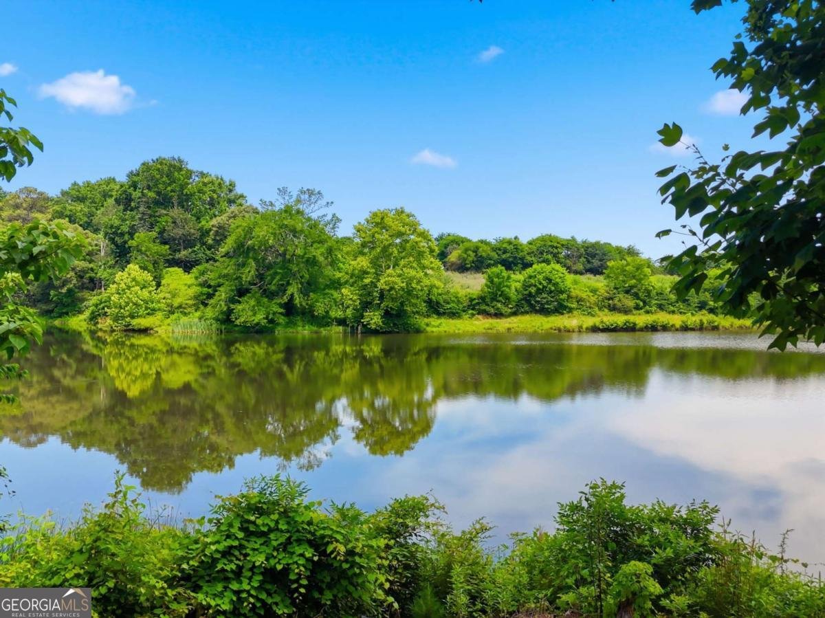 147 Fieldbrook Crossing Canton - Photo 41