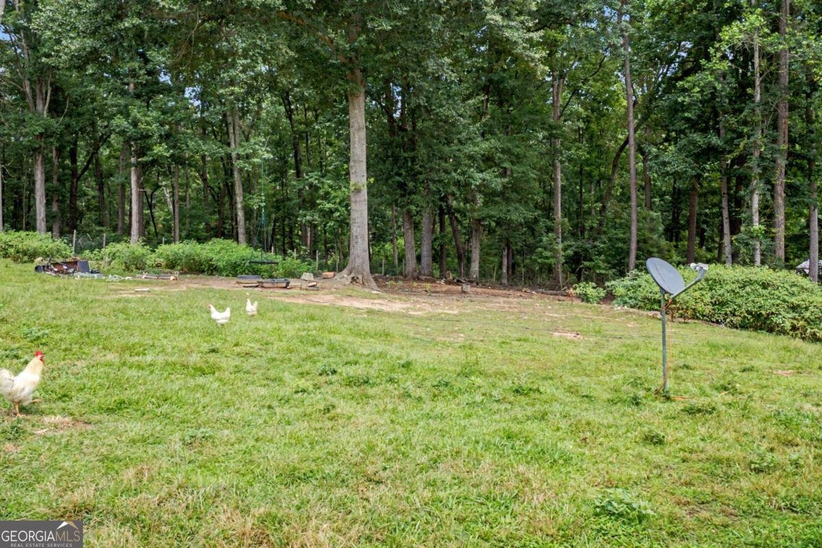 6347 Union Grove Road Lithia Springs - Photo 35