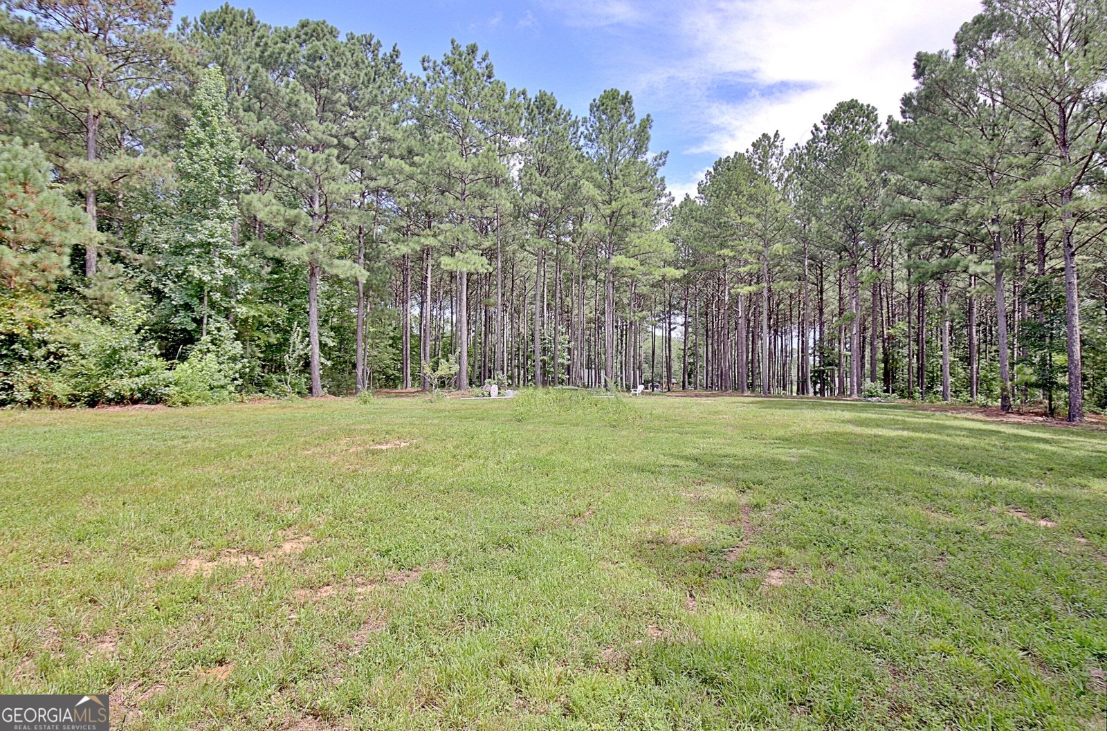 4141 Primrose Road Grantville - Photo 63