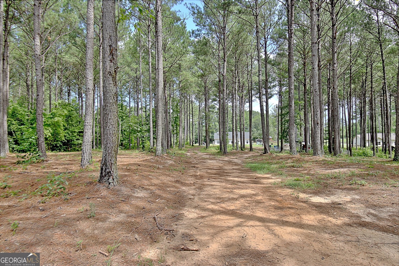 4141 Primrose Road Grantville - Photo 64