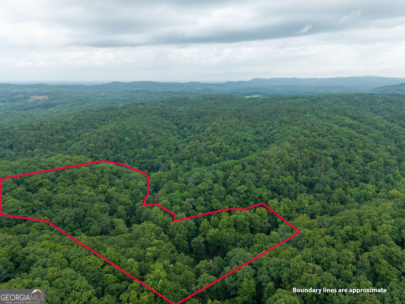1117 Rambling Road Fairmount - Photo 19