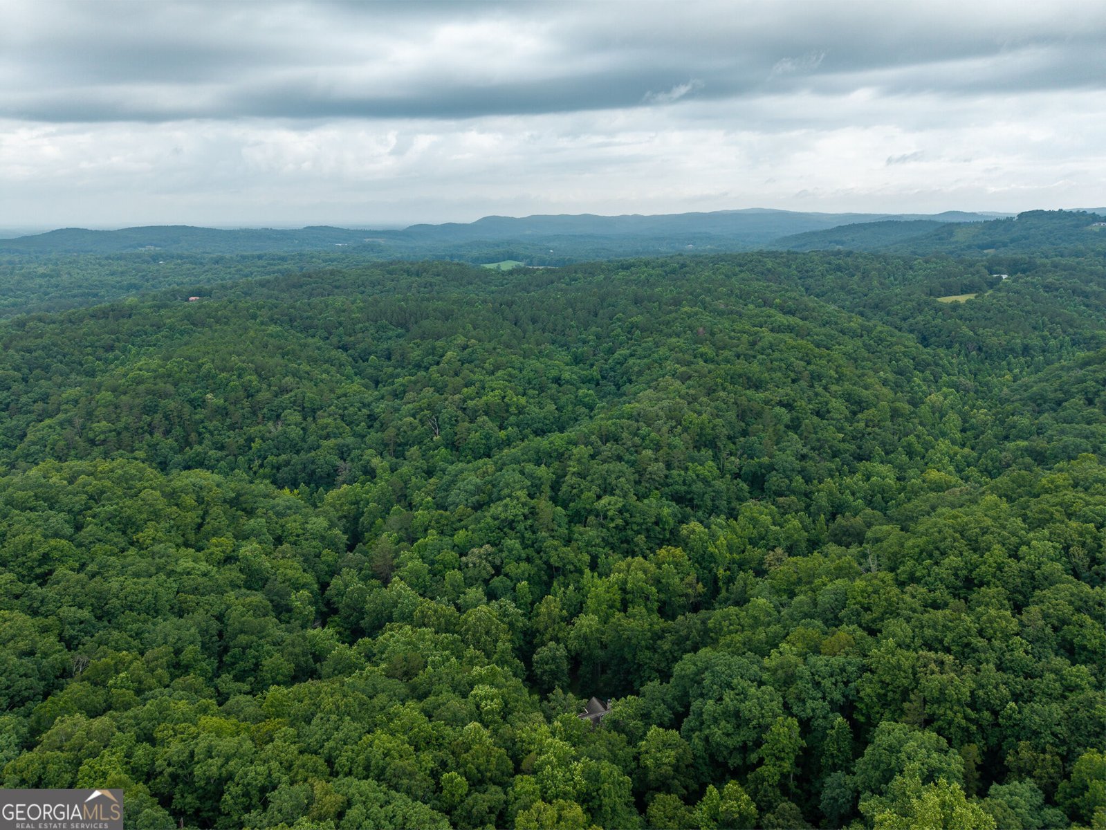 1117 Rambling Road Fairmount - Photo 20