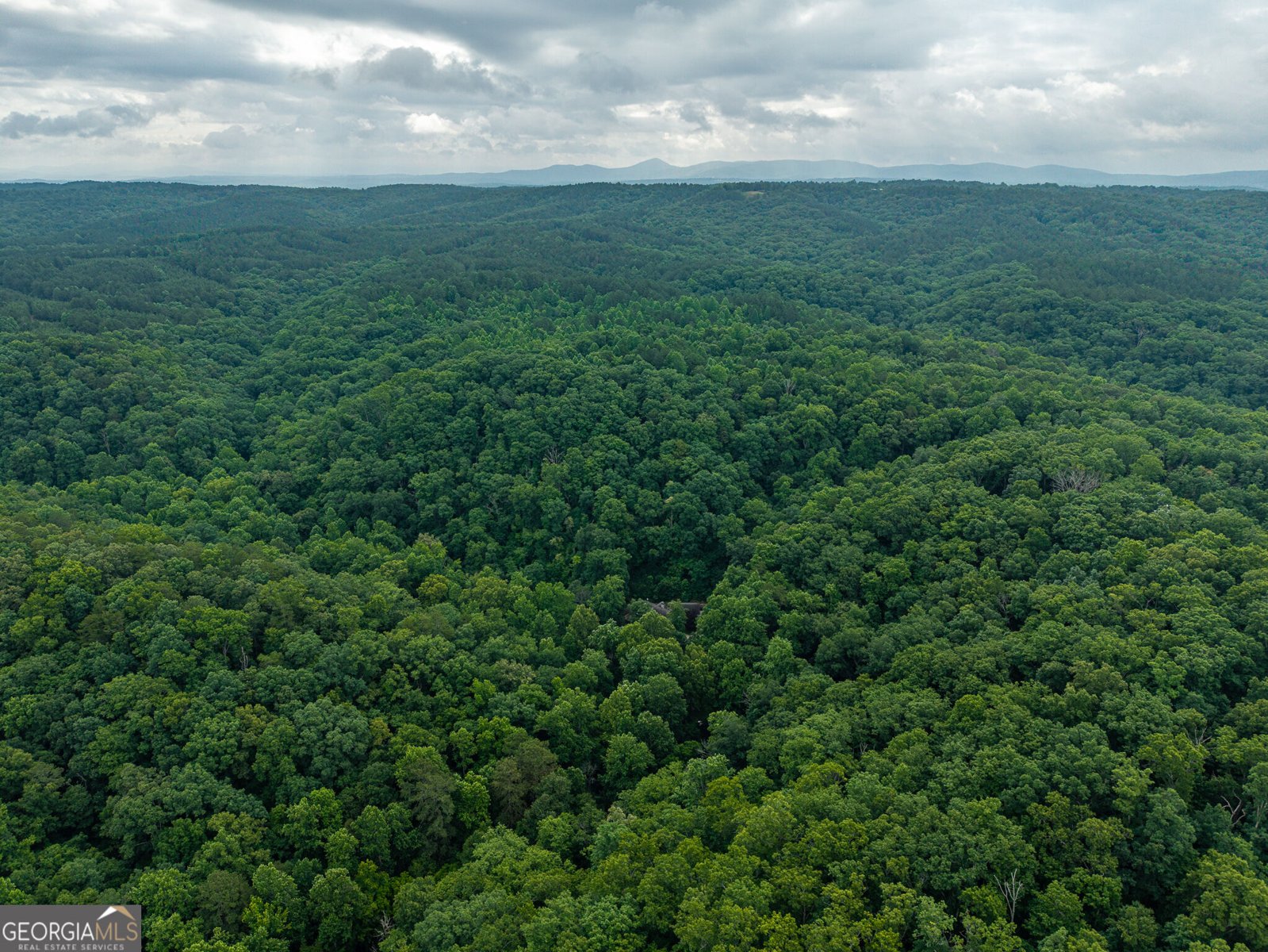 1117 Rambling Road Fairmount - Photo 21
