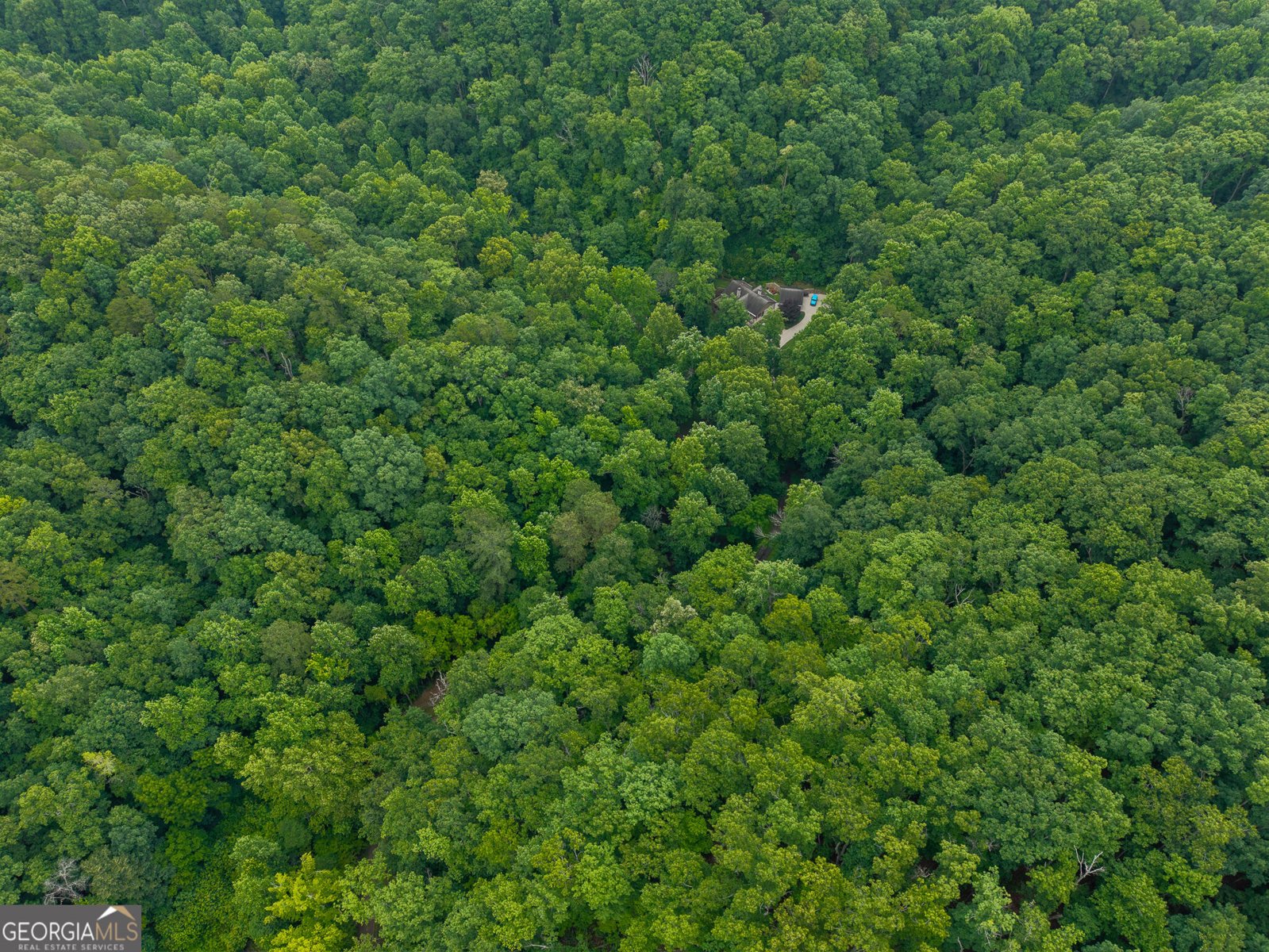 1117 Rambling Road Fairmount - Photo 22
