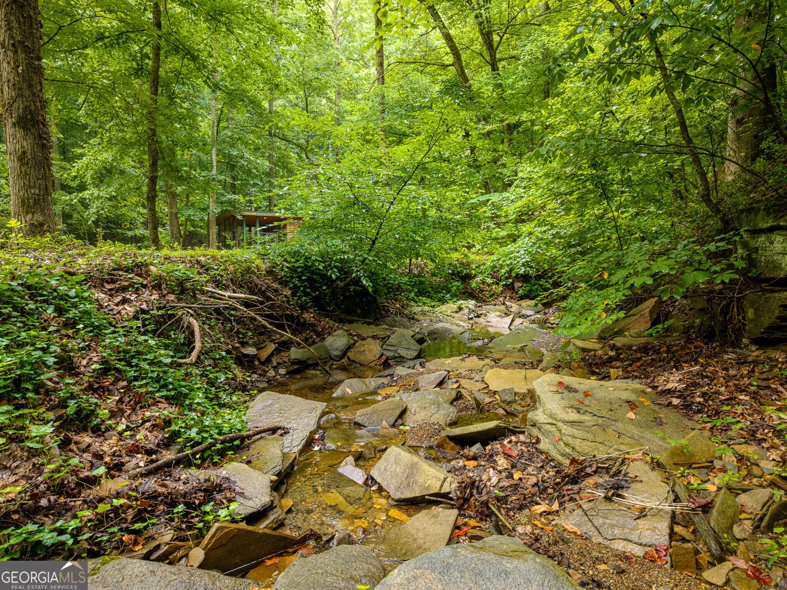 1117 Rambling Road Fairmount - Photo 6