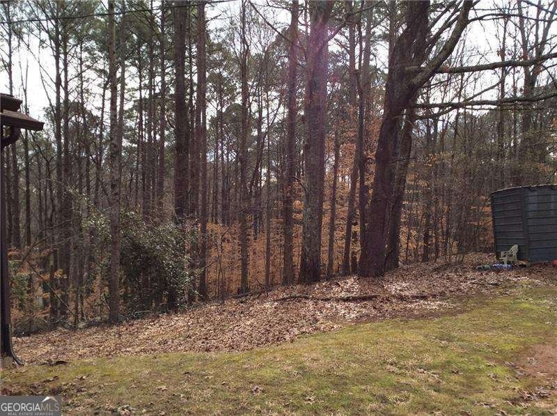 3161 Marble Quarry Road Canton - Photo 10