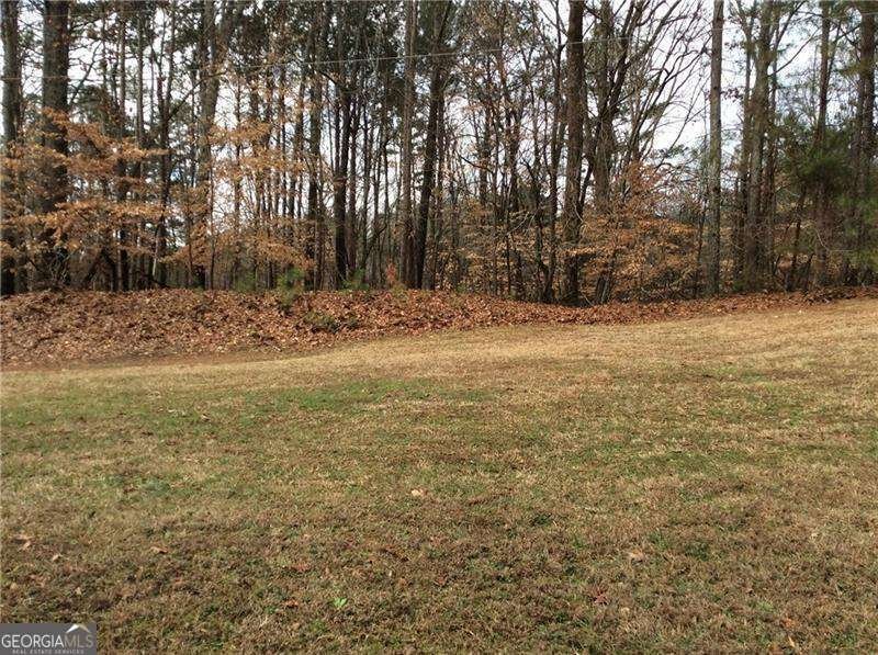 3161 Marble Quarry Road Canton - Photo 11