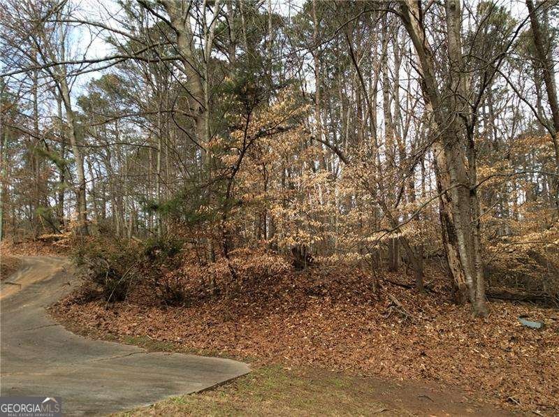 3161 Marble Quarry Road Canton - Photo 9