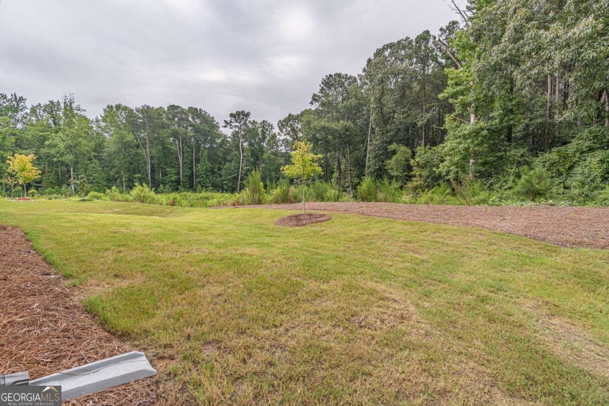 3644 Arrow Root Circle Loganville - Photo 14