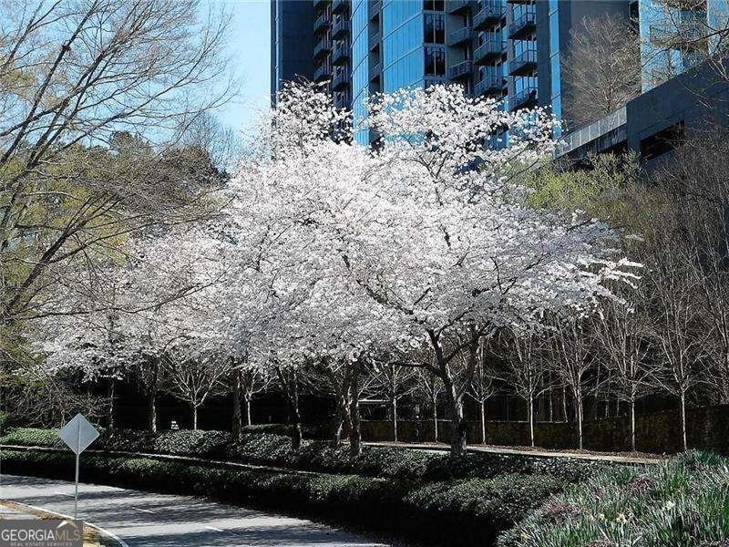 3300 Windy Ridge Parkway Atlanta - Photo 17