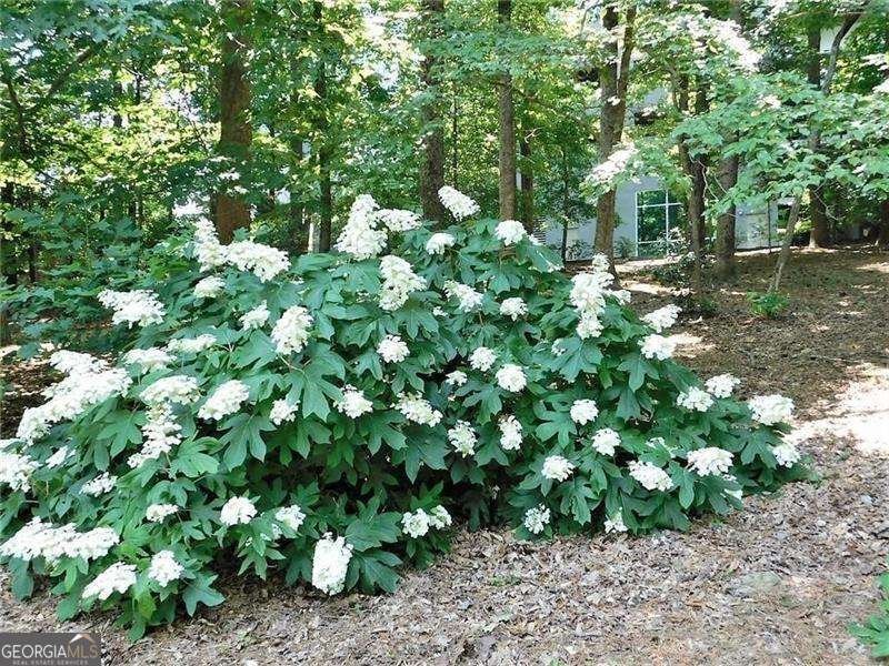 3300 Windy Ridge Parkway Atlanta - Photo 43
