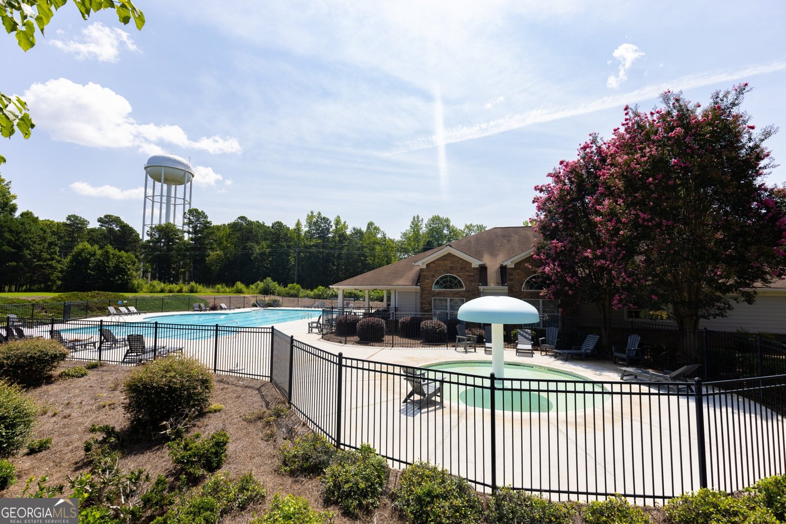 155 Savannah Drive Senoia - Photo 58