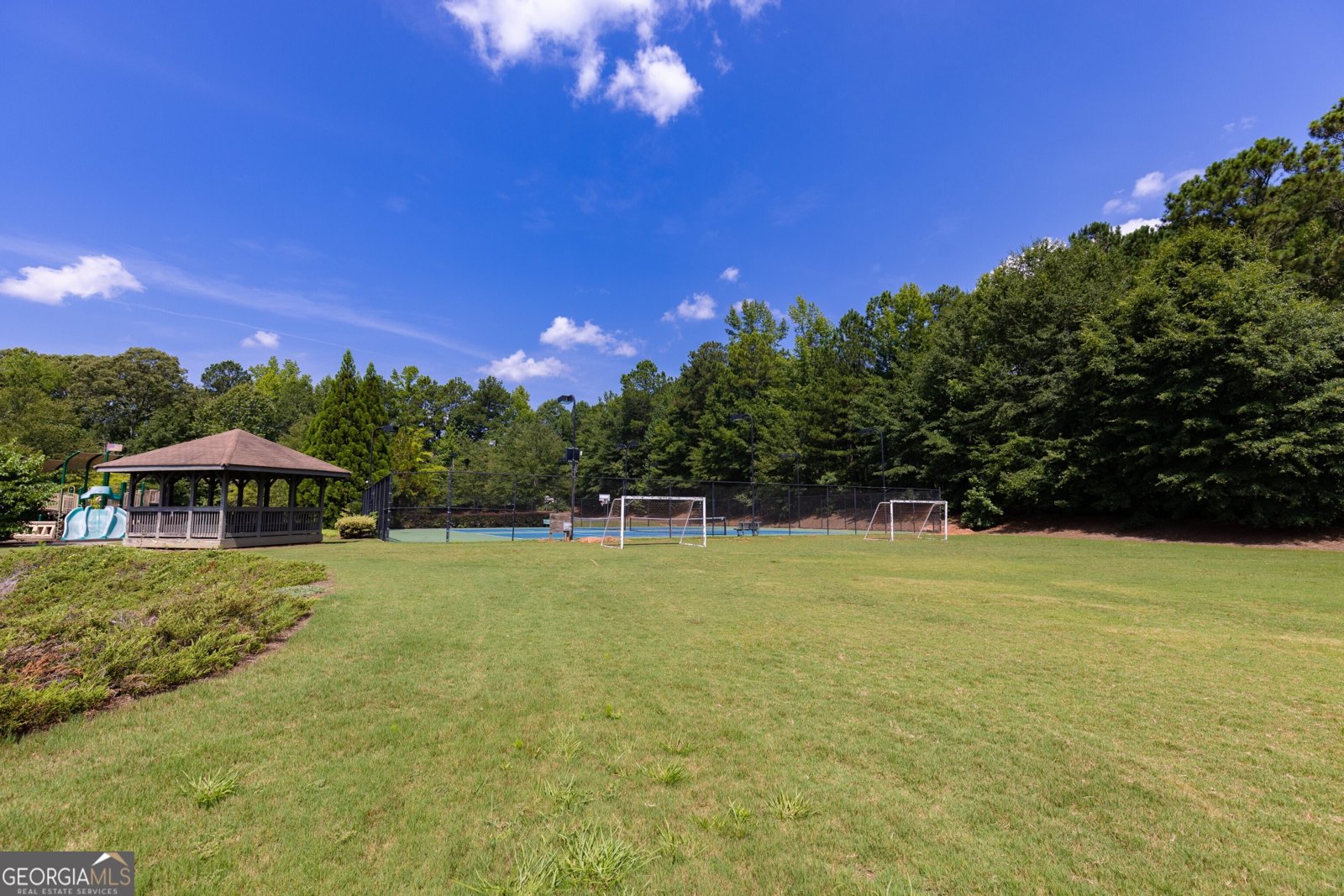 155 Savannah Drive Senoia - Photo 63