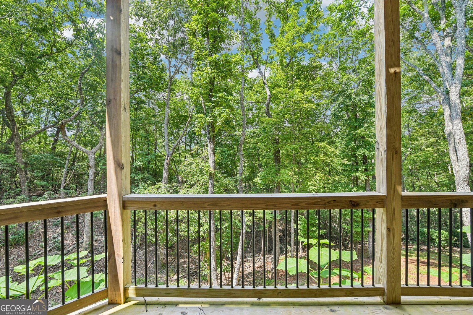 462 Ranch Mountain Drive Dahlonega - Photo 50