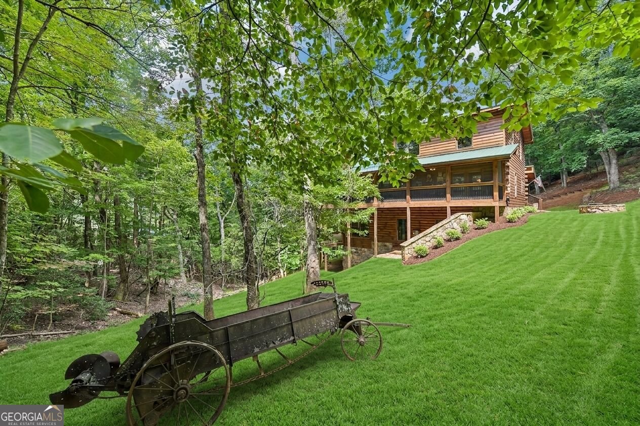 462 Ranch Mountain Drive Dahlonega - Photo 55