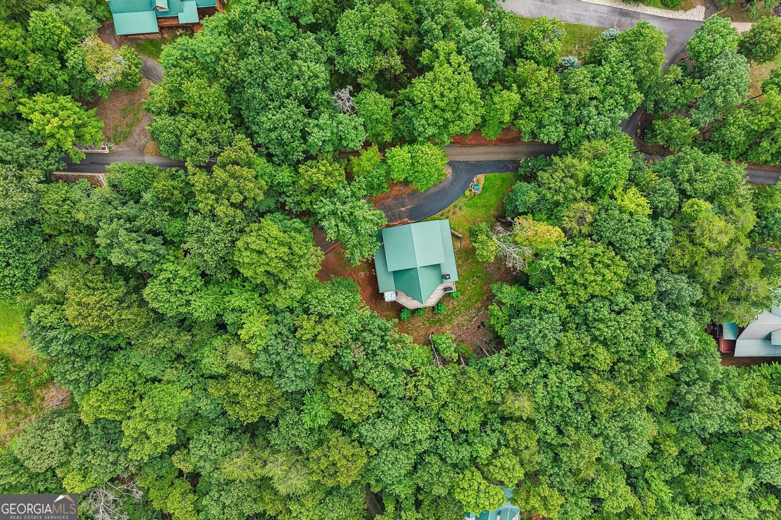 462 Ranch Mountain Drive Dahlonega - Photo 60