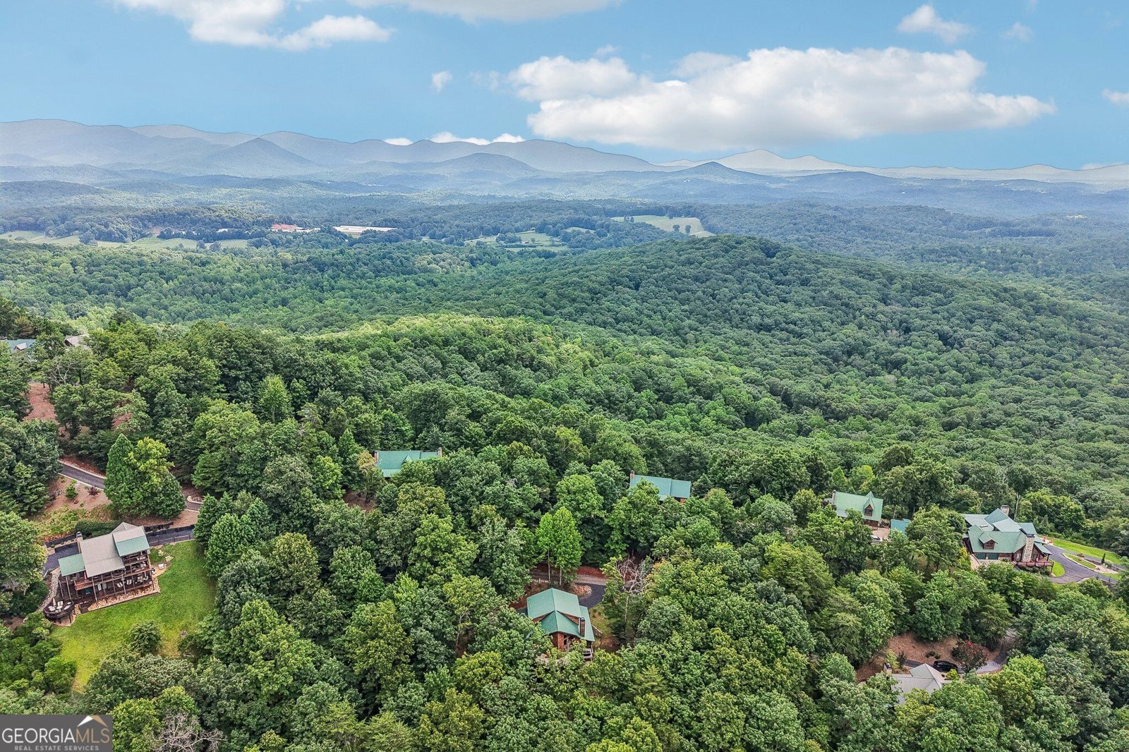 462 Ranch Mountain Drive Dahlonega - Photo 61