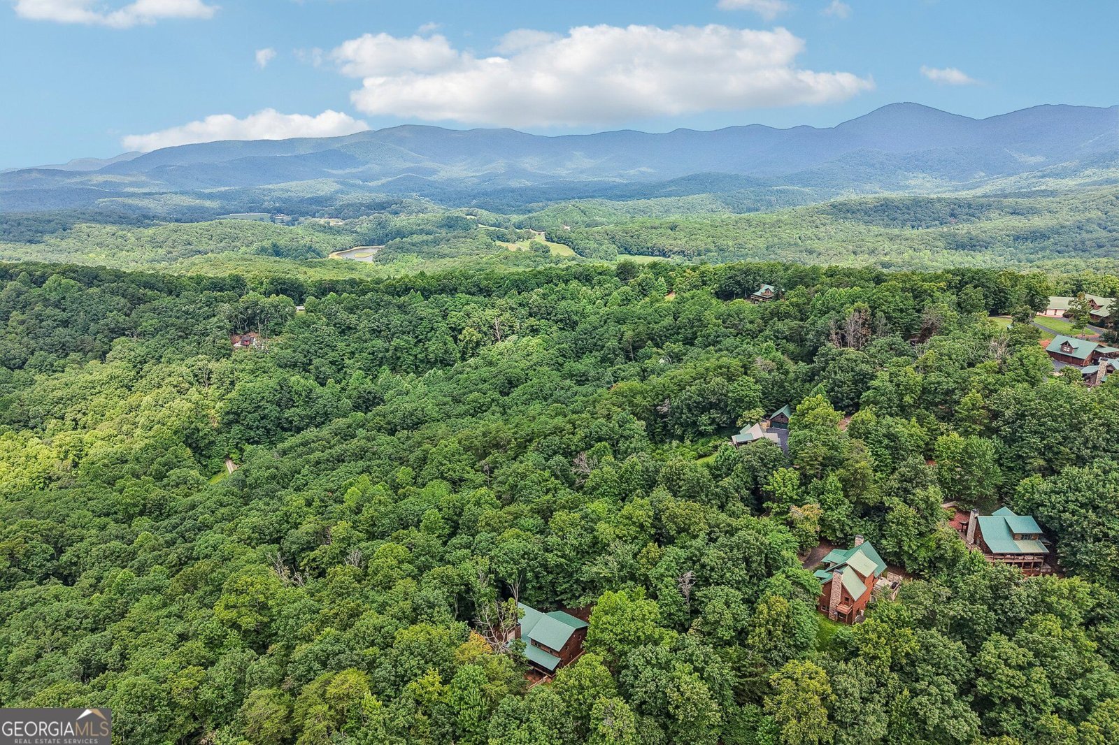 462 Ranch Mountain Drive Dahlonega - Photo 62