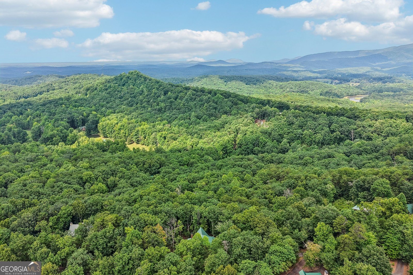 462 Ranch Mountain Drive Dahlonega - Photo 63