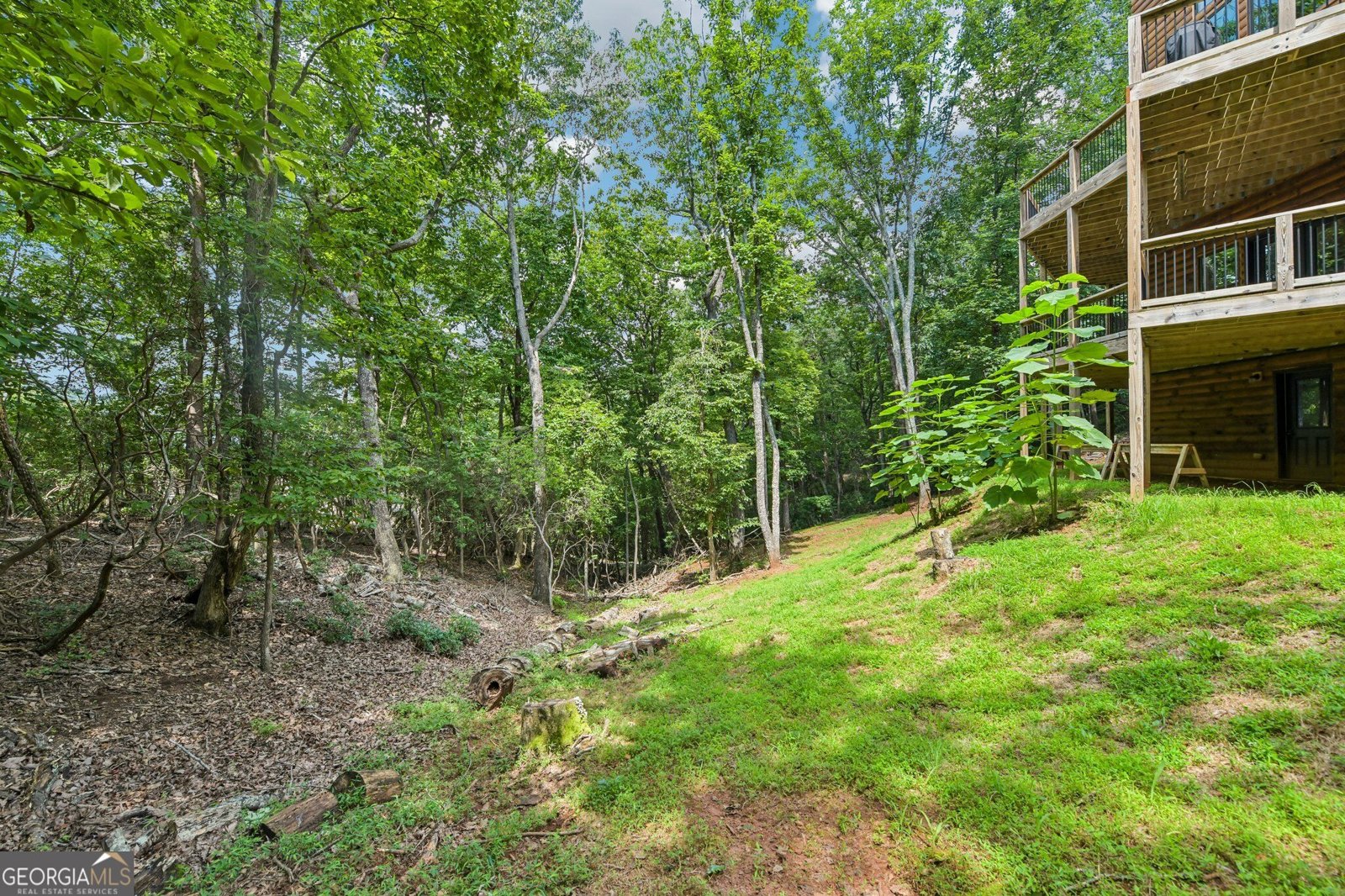 462 Ranch Mountain Drive Dahlonega - Photo 65