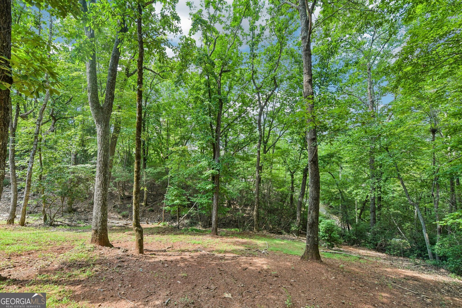 462 Ranch Mountain Drive Dahlonega - Photo 66
