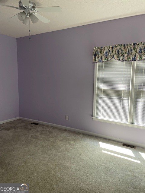 1316 Lake Forest Lane McDonough - Photo 25